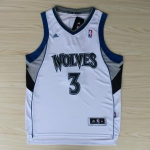 Canotte NBA Rivoluzione 30 Roy Minnesota Timberwolves Bianco